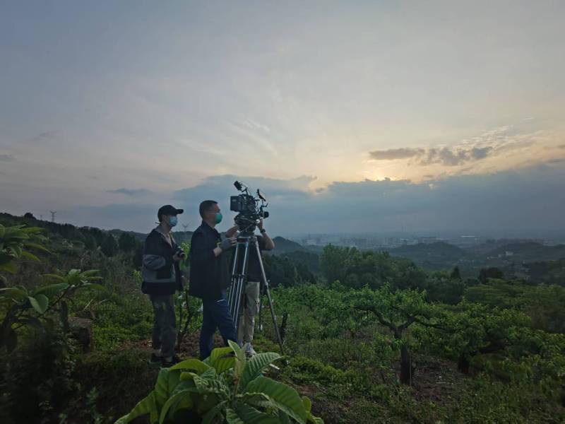 创意破圈！太和县电商产品宣传视频用故事化叙事引爆流量